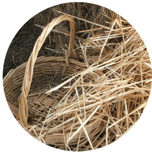 Hay and Straw