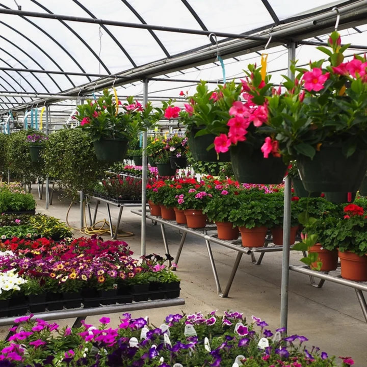 Duck-Creek-Row-Image-1